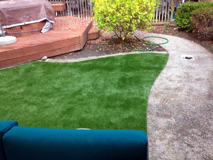 Artificial Turf Installation Riverdale Park, California Roof Top, Beautiful Backyards