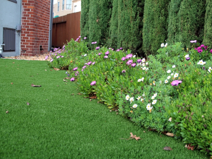 Artificial Turf Patterson, California Garden Ideas, Front Yard Landscaping