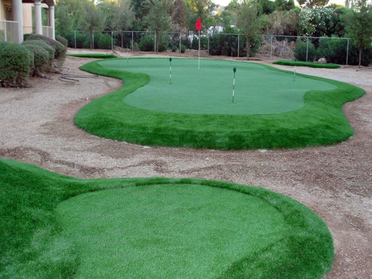 Artificial Turf Salida, California Indoor Putting Green, Small Backyard Ideas