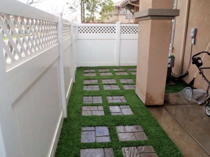 Artificial Turf Shackelford, California Backyard Playground, Backyard Landscape Ideas