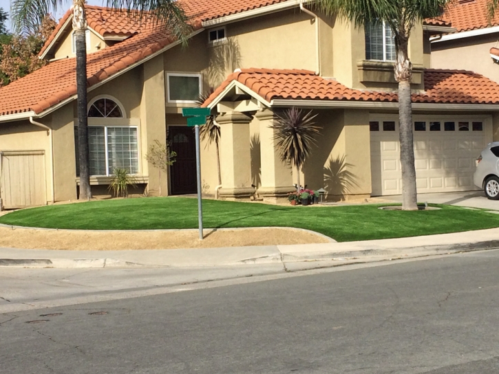 Artificial Turf West Modesto, California Landscaping, Front Yard Design