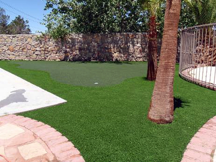 Best Artificial Grass Bret Harte, California Gardeners, Backyard Designs