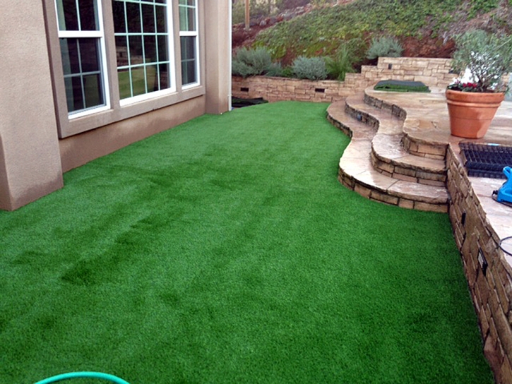 Best Artificial Grass Crows Landing, California Landscape Design, Backyard Ideas