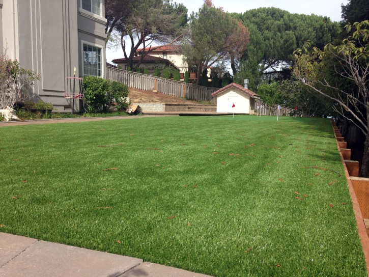 Best Artificial Grass Del Rio, California Best Indoor Putting Green, Backyard Garden Ideas