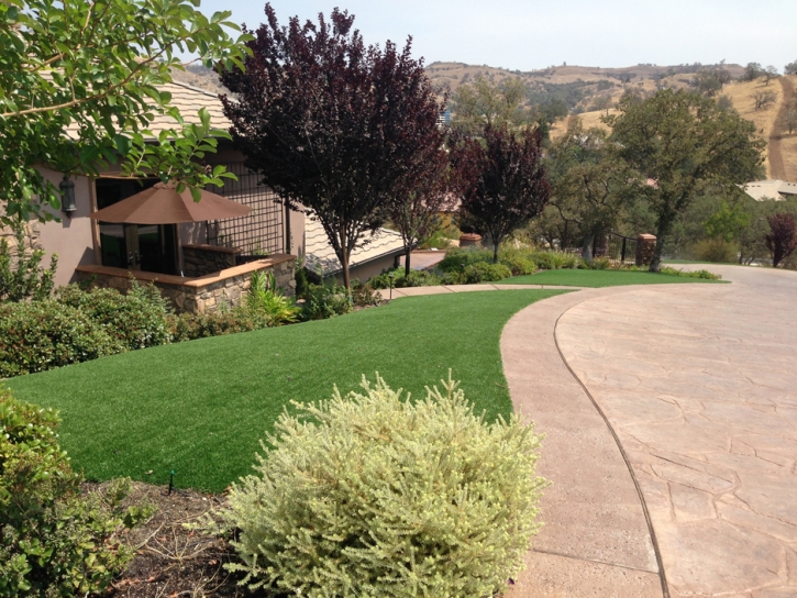 Best Artificial Grass Empire, California Backyard Playground, Front Yard Landscape Ideas