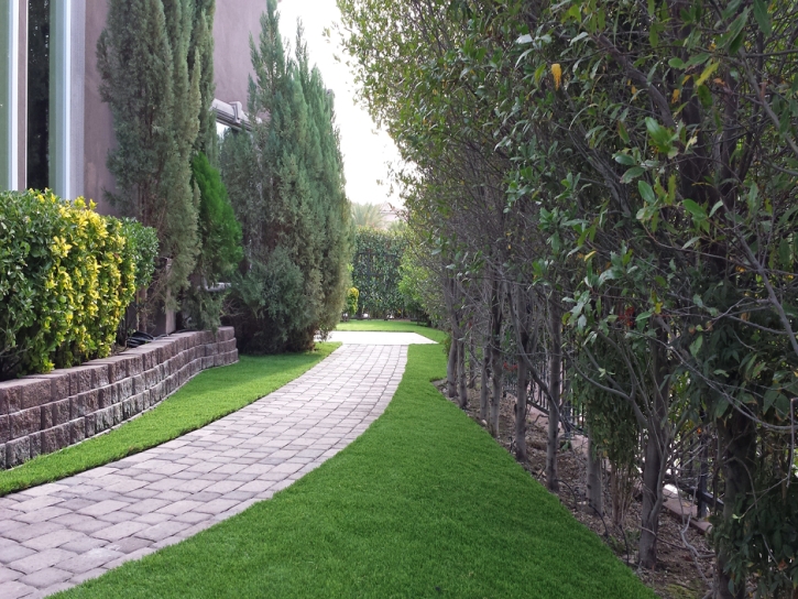 Best Artificial Grass Hickman, California Landscaping, Front Yard Design