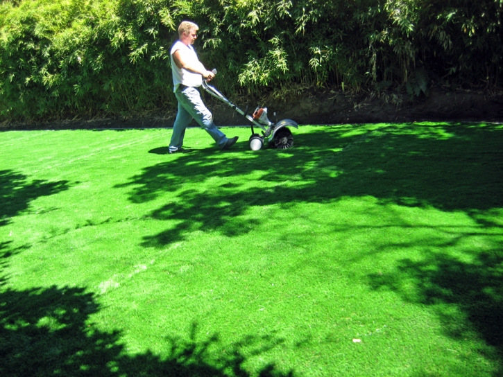 Best Artificial Grass Patterson, California Landscaping Business, Beautiful Backyards