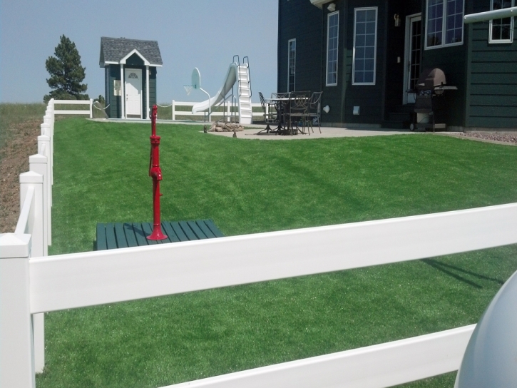 Best Artificial Grass Turlock, California Landscape Design, Front Yard Landscaping Ideas