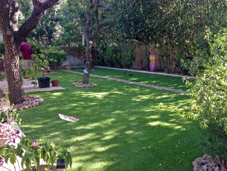 Best Artificial Grass Waterford, California Landscape Design, Small Backyard Ideas