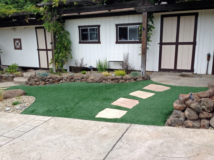 Fake Grass Carpet Denair, California Home And Garden, Front Yard Landscape Ideas