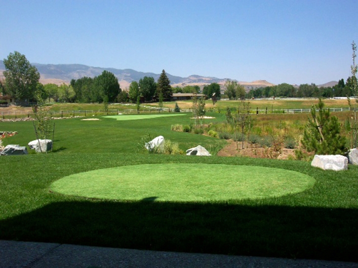 Fake Grass Carpet Grayson, California Paver Patio, Backyard Designs