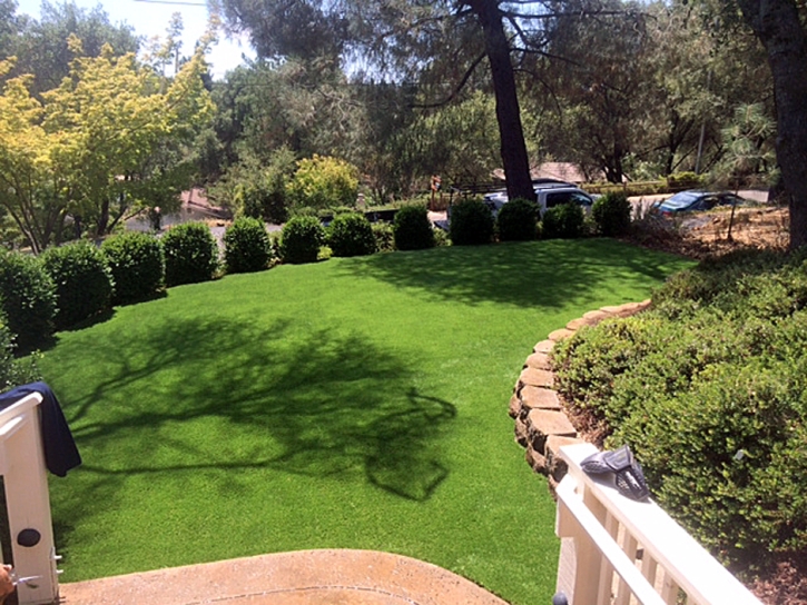 Fake Grass Carpet Hickman, California Lawn And Garden, Backyard Landscaping Ideas