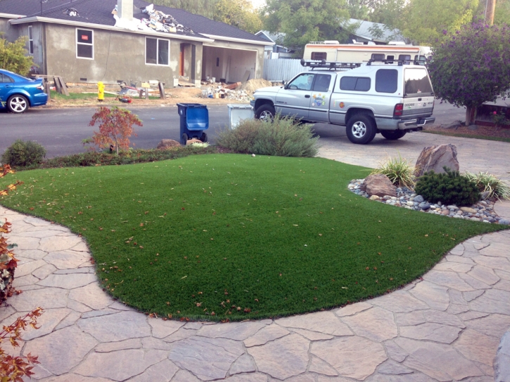 Fake Grass Carpet Newman, California Gardeners, Front Yard Design