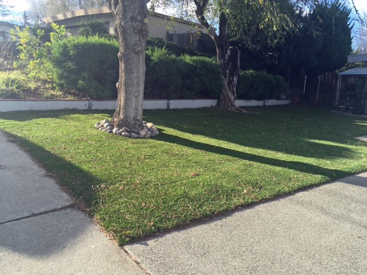 Fake Grass Carpet Salida, California City Landscape, Front Yard