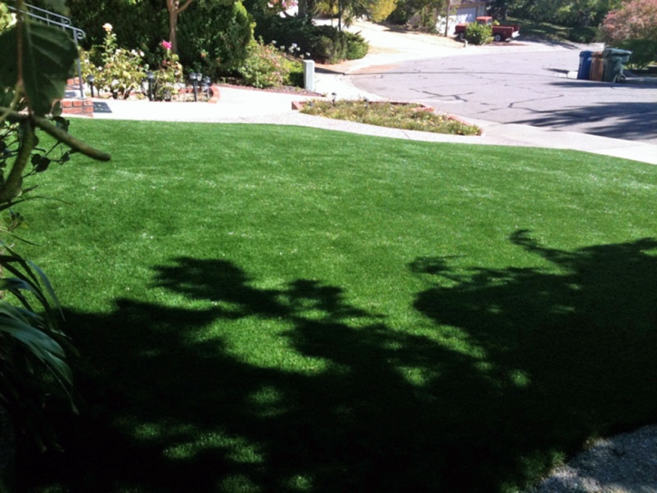 Fake Grass Ceres, California Landscape Photos, Landscaping Ideas For Front Yard