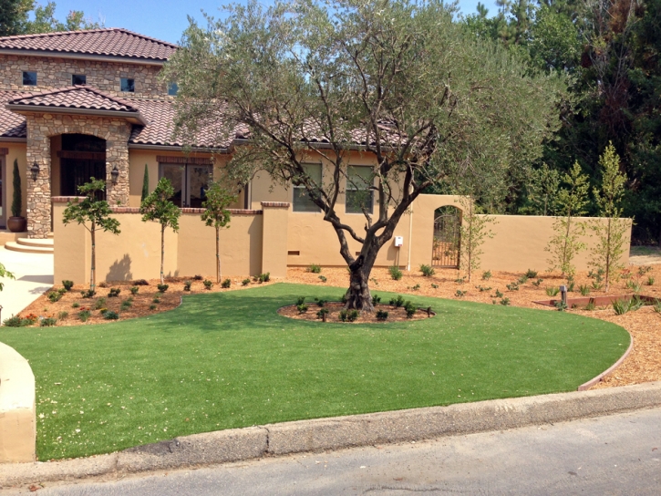 Fake Grass Del Rio, California Landscape Rock, Front Yard Landscape Ideas