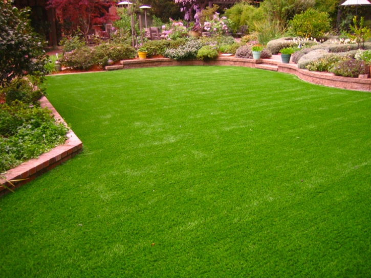 Fake Grass Del Rio, California Landscaping, Backyard Designs