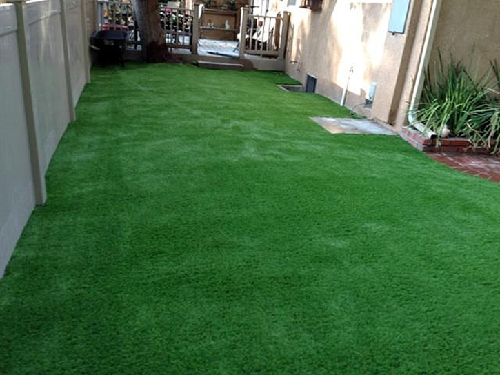 Fake Grass East Oakdale, California Lawns, Beautiful Backyards