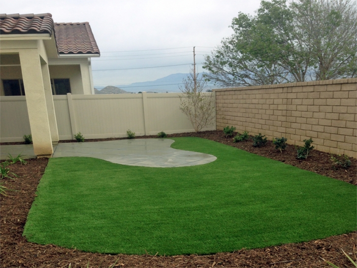 Fake Grass Grayson, California Design Ideas, Beautiful Backyards