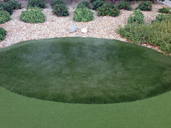 Fake Grass Hickman, California How To Build A Putting Green