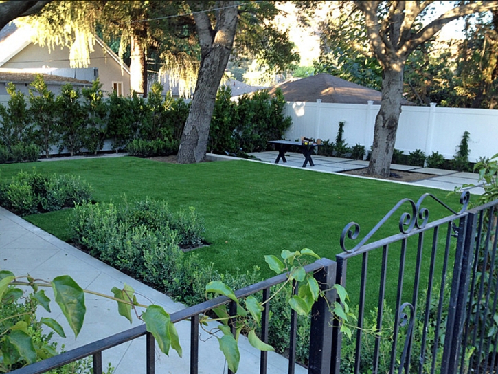 Fake Grass Hughson, California City Landscape, Front Yard Landscape Ideas