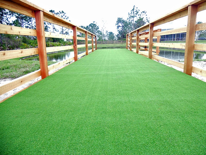 Fake Grass Riverdale Park, California Pet Turf, Commercial Landscape