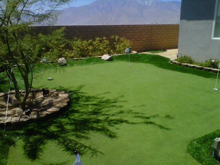 Fake Grass Salida, California Landscape Rock, Backyard