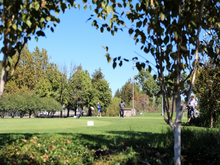 Fake Grass Salida, California Outdoor Putting Green