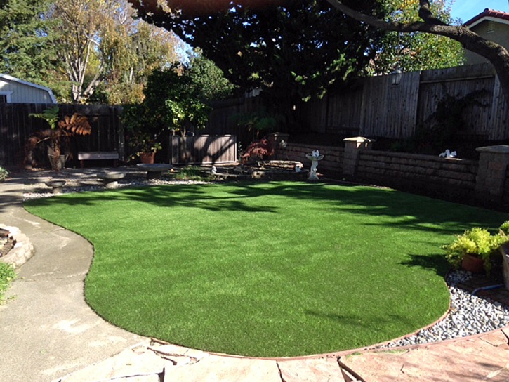 Fake Lawn Bystrom, California City Landscape, Backyards