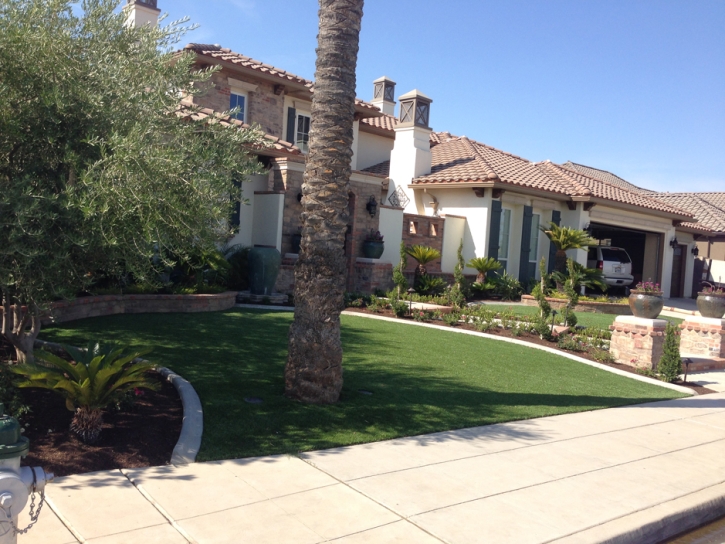 Fake Lawn Bystrom, California Landscape Ideas, Small Front Yard Landscaping