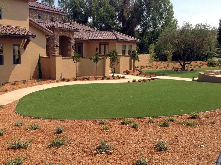 Fake Lawn Bystrom, California Rooftop, Front Yard Landscaping