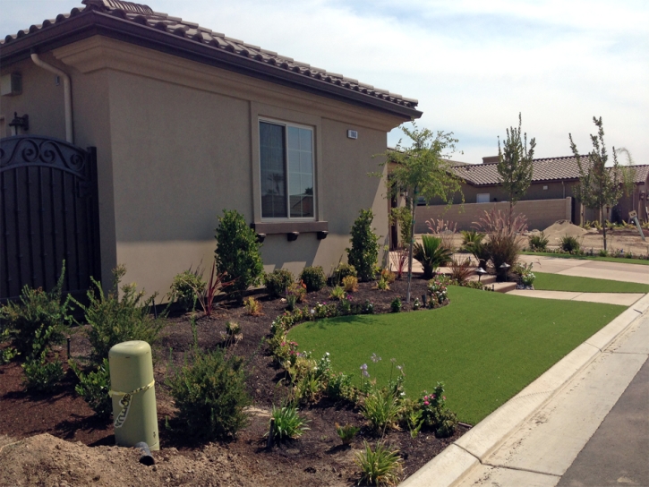 Fake Lawn Crows Landing, California Lawn And Landscape, Small Front Yard Landscaping