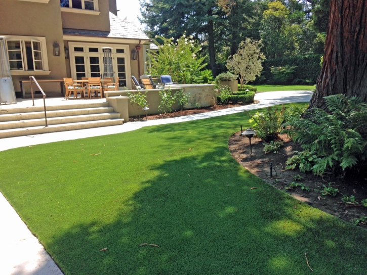 Fake Lawn East Oakdale, California Landscape Design, Backyard