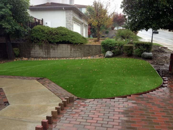 Fake Lawn Modesto, California Landscaping, Backyard Landscape Ideas