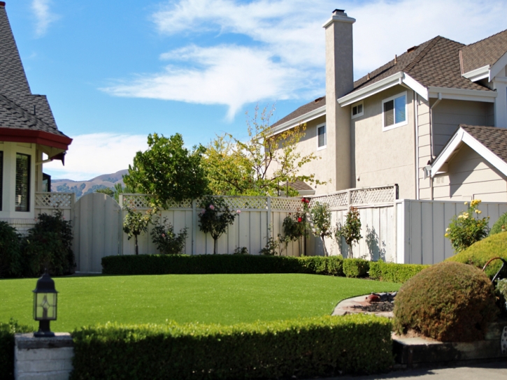 Fake Lawn Riverdale Park, California Design Ideas, Landscaping Ideas For Front Yard