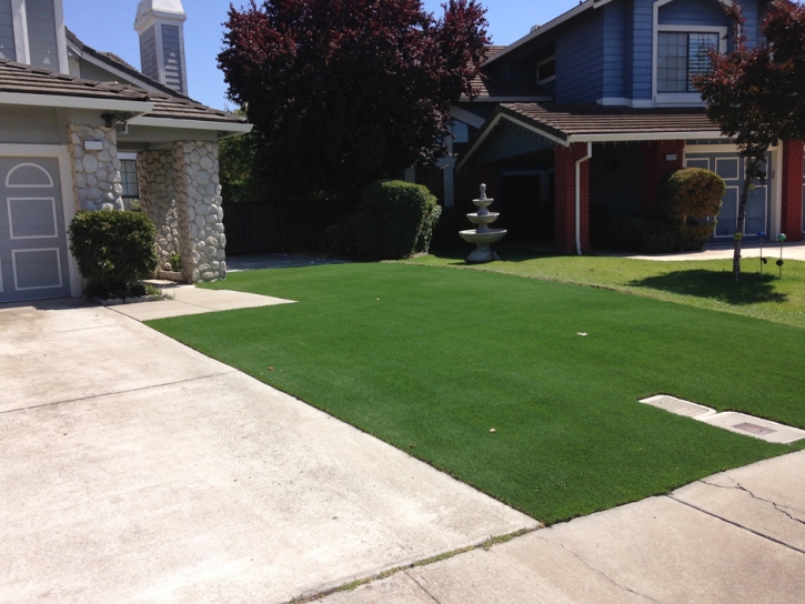 Fake Lawn Turlock, California Backyard Deck Ideas, Small Front Yard Landscaping