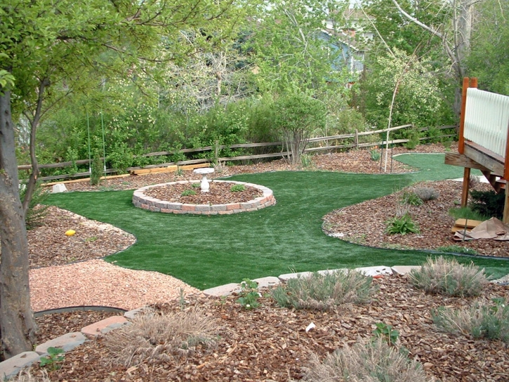 Fake Lawn Westley, California Landscape Design, Beautiful Backyards