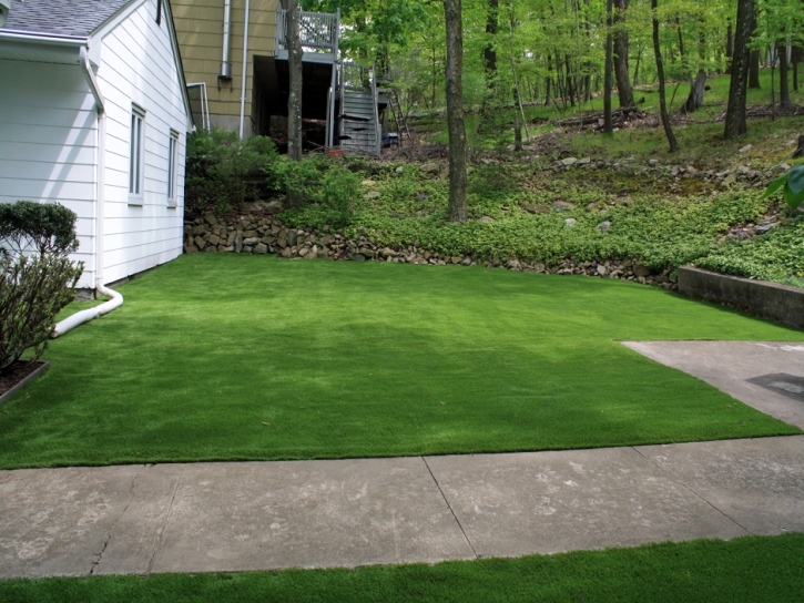 Fake Turf Riverdale Park, California Landscaping Business, Front Yard