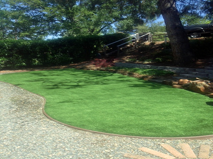 Fake Turf Salida, California Landscaping Business, Backyard Design