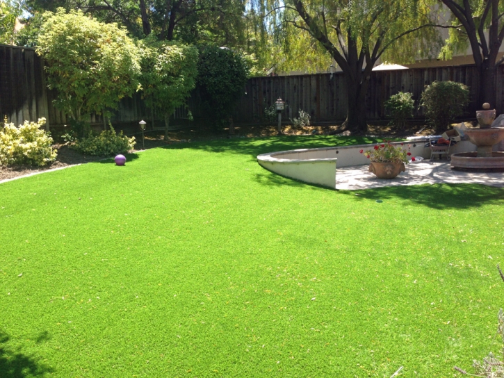 Faux Grass Bret Harte, California Landscape Rock, Backyard Garden Ideas