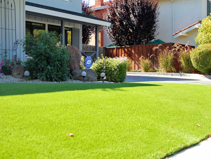 Faux Grass Bystrom, California Landscaping Business, Front Yard Landscaping Ideas