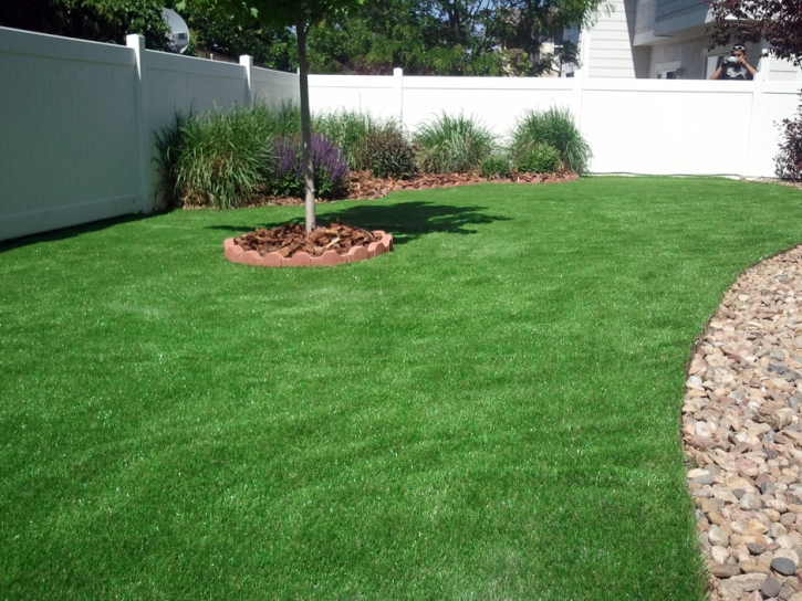 Faux Grass Hughson, California Design Ideas, Backyards