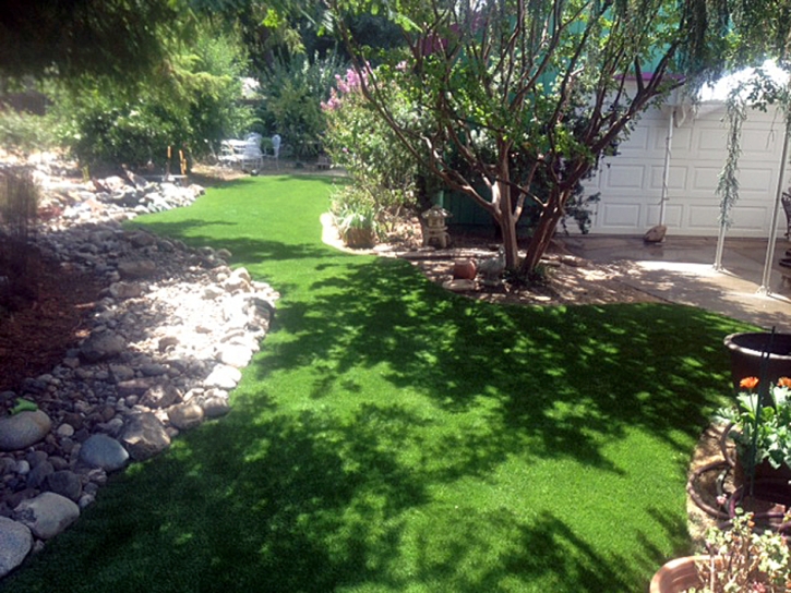 Faux Grass Hughson, California Design Ideas, Backyard Landscape Ideas