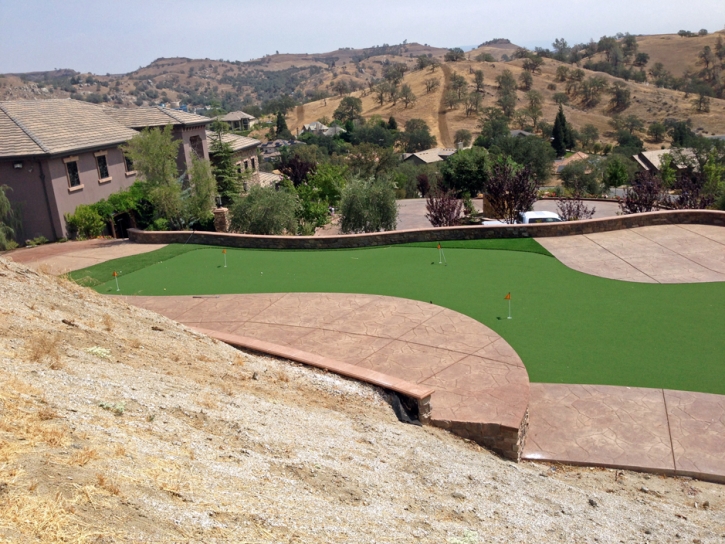 Faux Grass Hughson, California Indoor Putting Greens, Backyard Landscaping