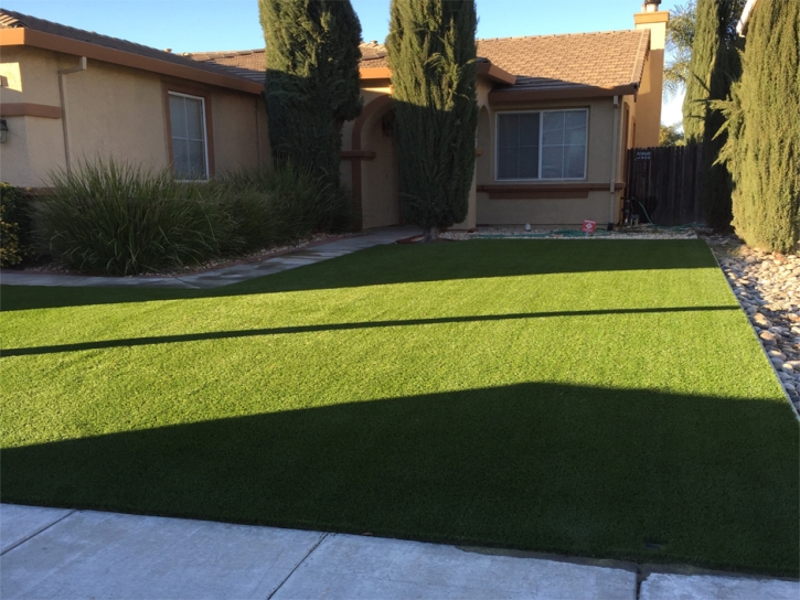 Faux Grass Newman, California Roof Top, Front Yard Landscape Ideas