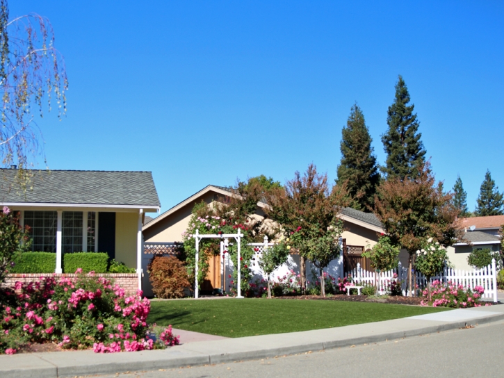 Faux Grass Oakdale, California Lawns, Front Yard