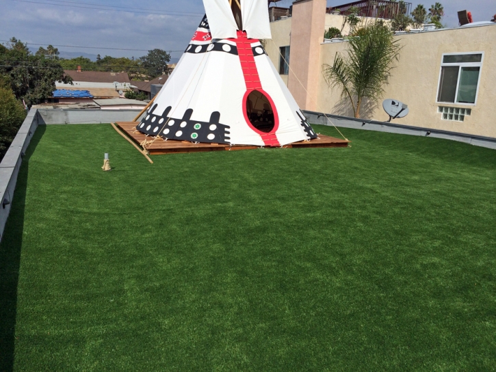 Faux Grass Oakdale, California Lawns, Roof Top