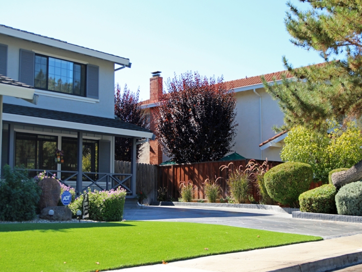 Faux Grass Riverbank, California Landscaping Business, Front Yard Ideas