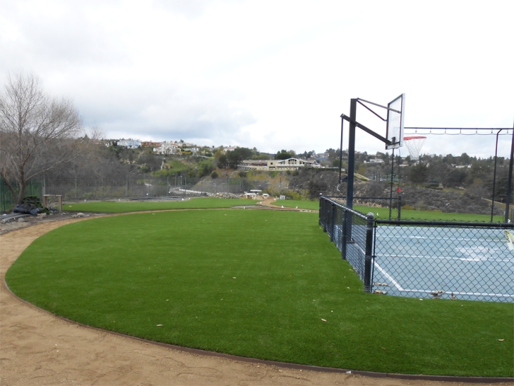 Grass Carpet Bret Harte, California Lawn And Landscape, Commercial Landscape