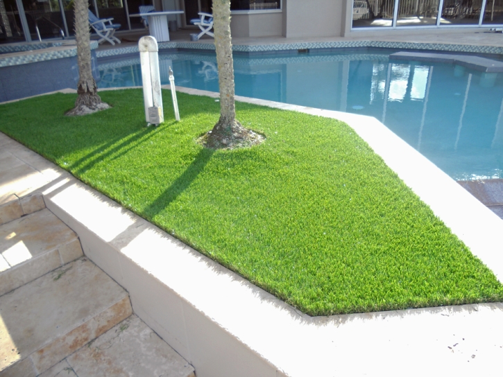 Grass Carpet Bystrom, California Design Ideas, Backyard Garden Ideas